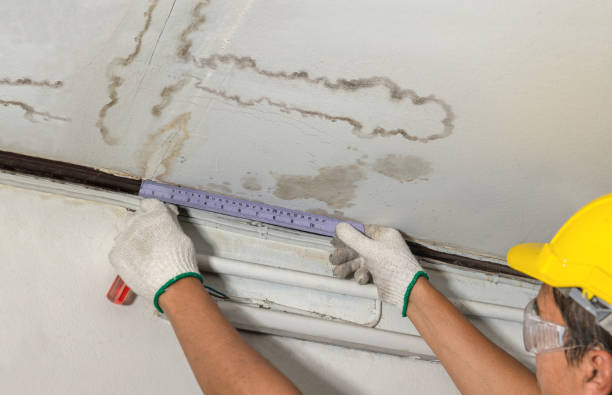 Reliable Water Damage contractor in Woodridge, IL by Water Damage Irwin